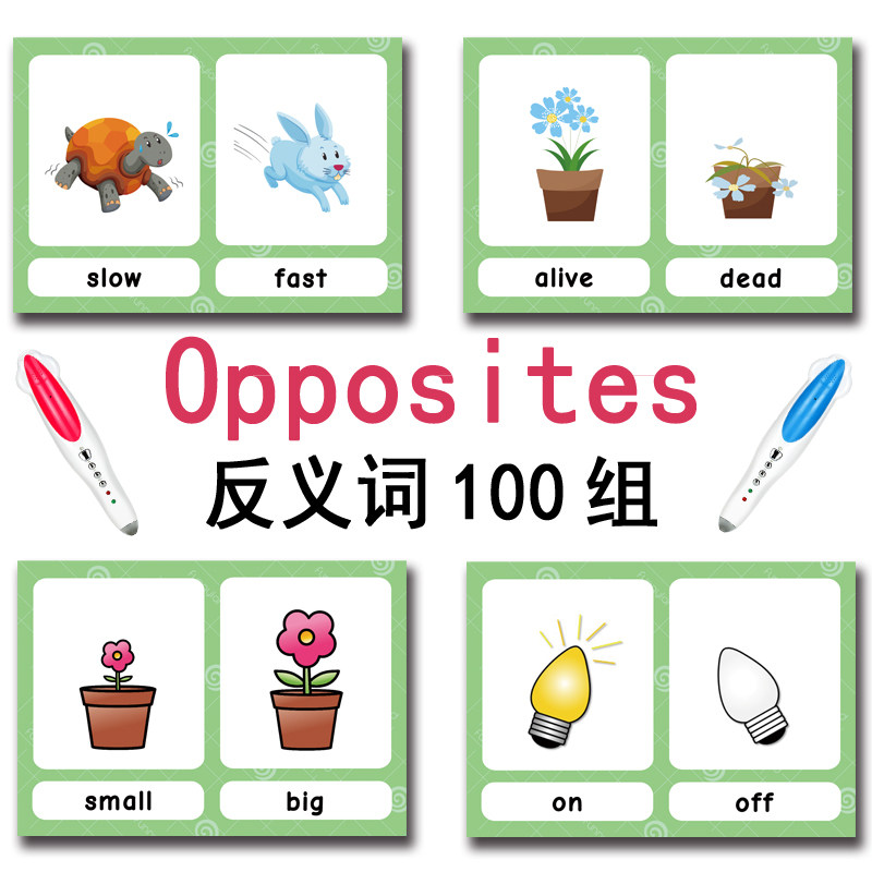 100 Cartões de Vocabulário em  - Kids Education Learning avaliação e preço