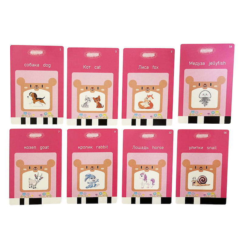 Inglês russo tomando cartões f - Flash Card Alphabet avaliação e preço